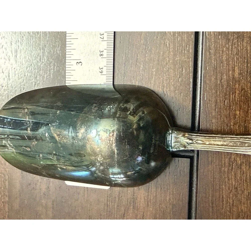 🔥RARE- VTG Wallace Sterling silver handle Ice Scoop - PERFECT PATINA 😱🙀🔥
